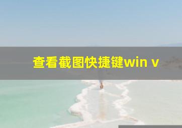 查看截图快捷键win v